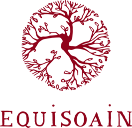 Equisoain